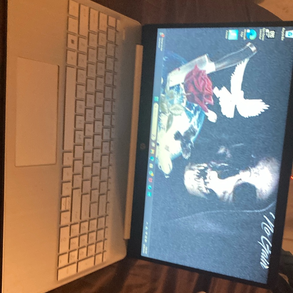 HP Silver Laptop